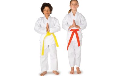 Karate (ages 5 and up)